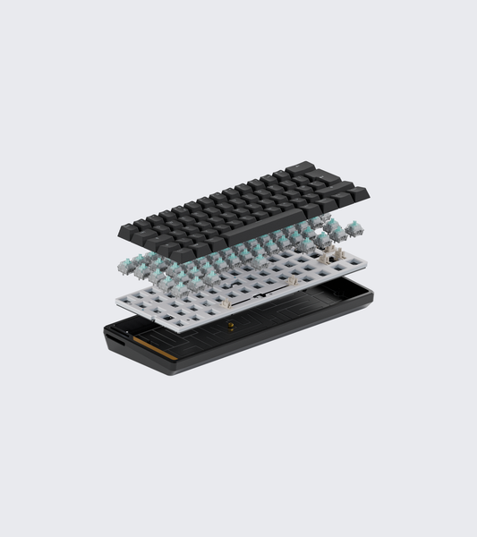 Wooting 60HE+ Module - Pure Black Build